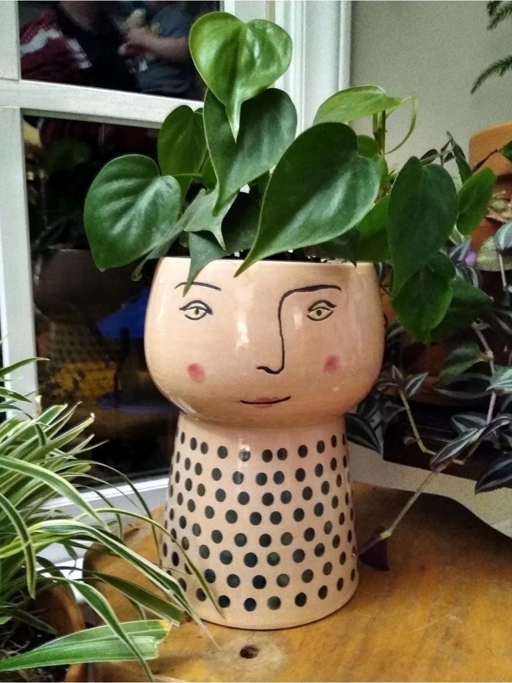 Opal house face planter